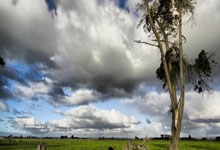 亚洲篮球冠军联赛抽签揭晓 辽宁队与西亚冠军同组.