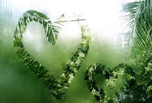 NBA动态：湖人一裁一签，勇士一人归期未定，克拉克森赛季报销.